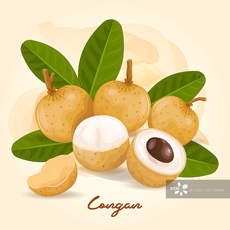 龙眼：一种味道甘甜的水果图片素材