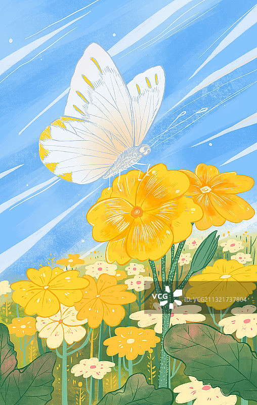 蝴蝶在花丛图片素材