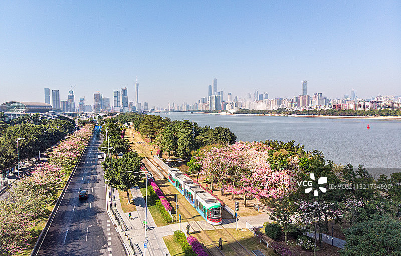 中国广州琶洲互联网创新聚集区建筑群和有轨电车图片素材