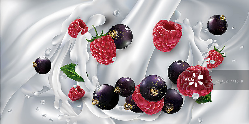 牛奶中的黑加仑和覆盆莓图片素材