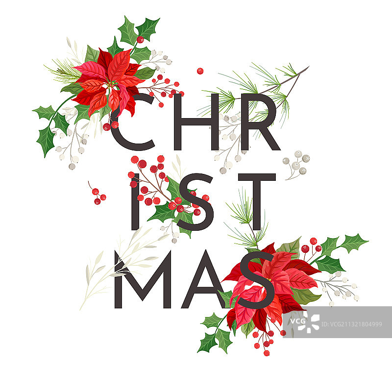 简约圣诞节一品红花贺卡图片素材