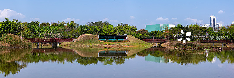 深圳福田红树林生态公园图片素材