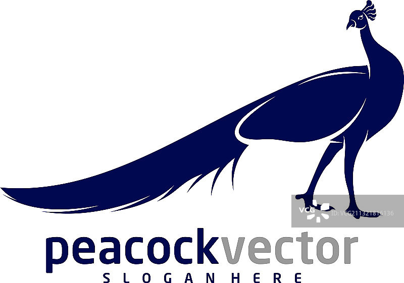 孔雀鸟logo设计模板图片素材