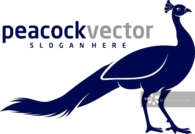 孔雀鸟logo设计模板图片素材