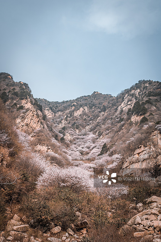 陕西西安秦岭三凤山桃花图片素材