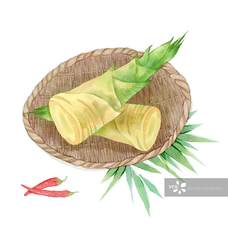 水彩手绘春天竹笋春笋图片素材