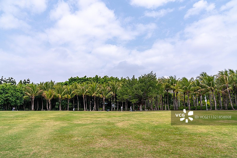 深圳福田海滨生态公园图片素材