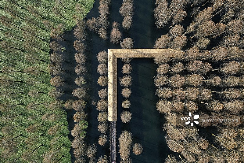 大莲湖湿地 上海图片素材