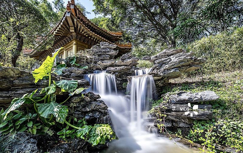 深圳国际园林花卉博览园图片素材