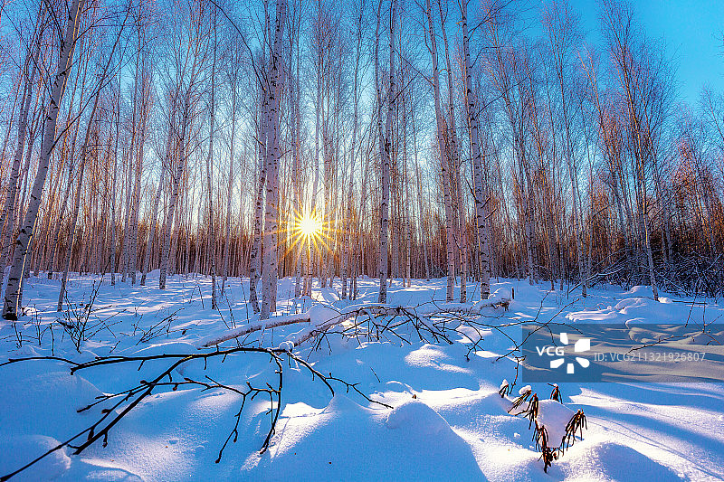 大兴安岭地区冬季冰雪风光图片素材