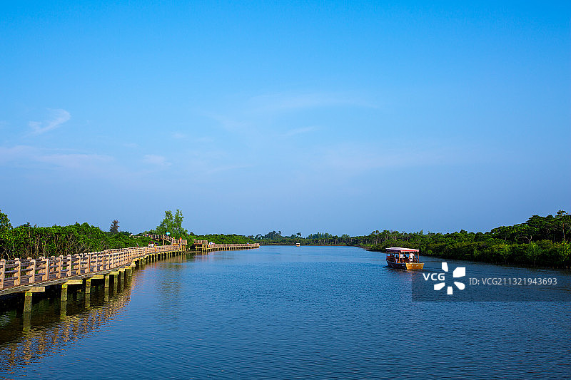 东寨港红树林图片素材