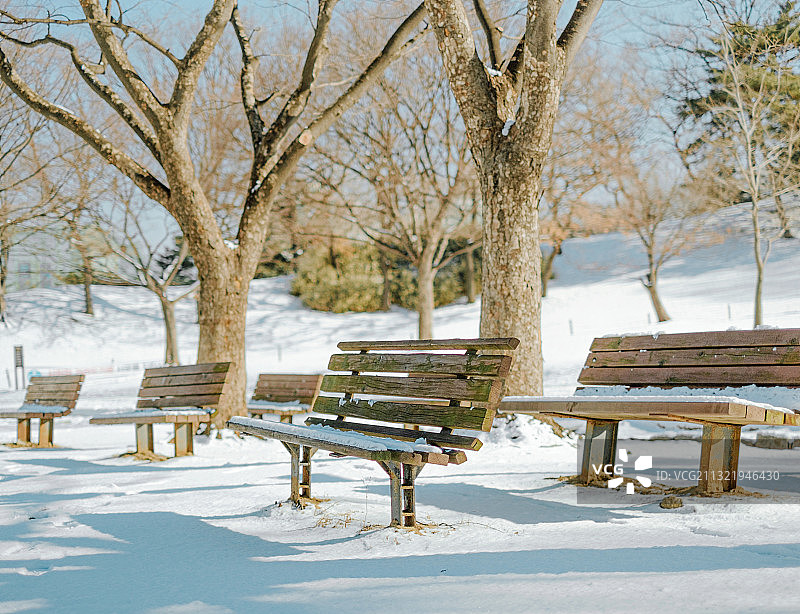 冬季奥运公园雪花背景自然风光照片图片素材