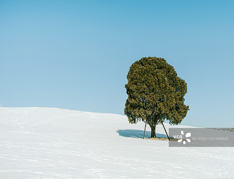 冬季奥运公园雪花背景自然风光照片图片素材