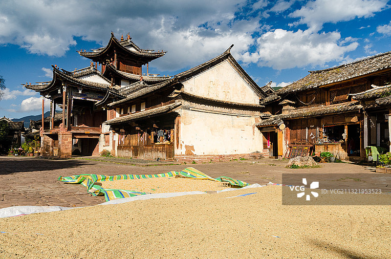 云南大理剑川县沙溪古镇寺登街晾晒稻谷图片素材