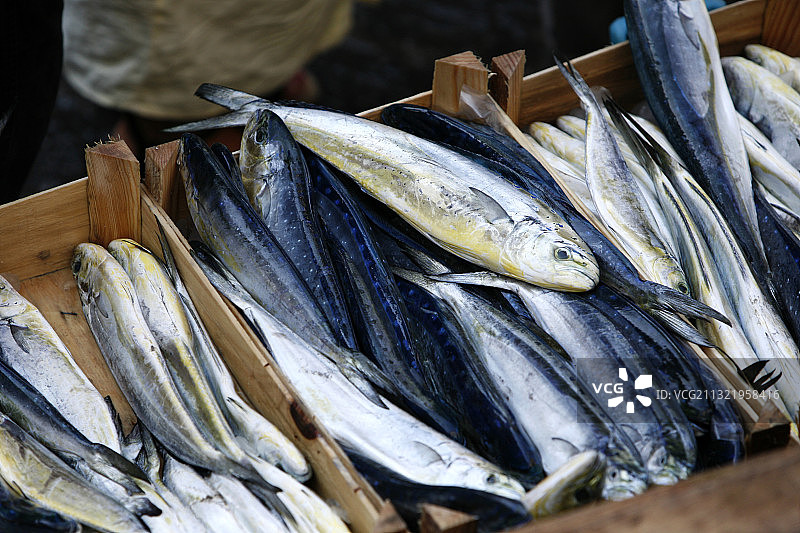 市场上出售的鱼鸟瞰图片素材