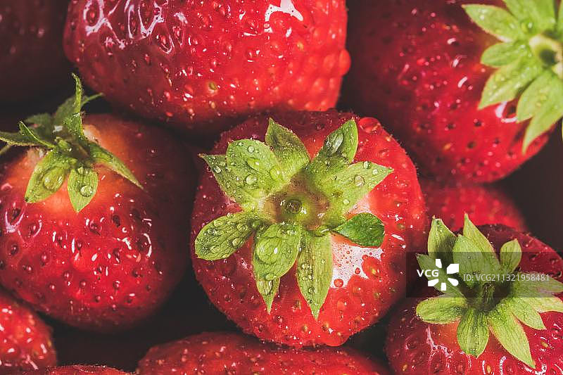 草莓全景图片素材