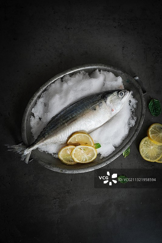 盘中鱼的高角度视图图片素材