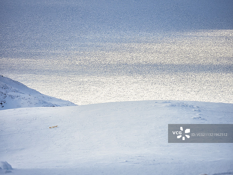 加拿大萨格莱克湾的雪景图片素材