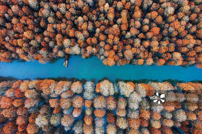 2021年12月25日，赵西垸林场的水杉林停泊着一只小船。图片素材