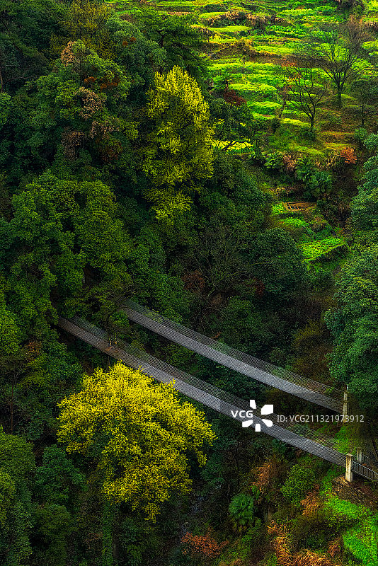 江西婺源篁岭油菜花图片素材