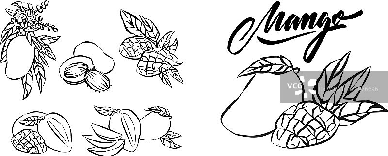 手绘芒果有机食品图片素材