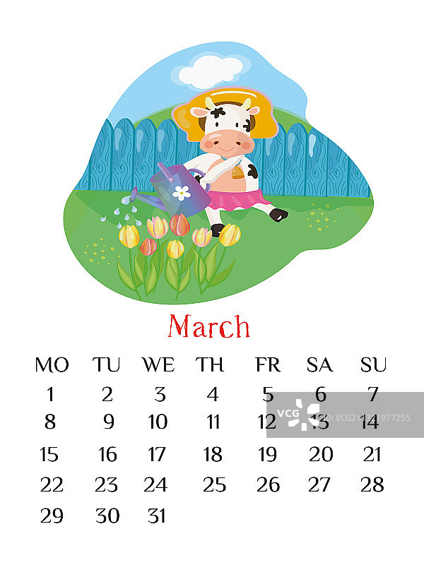 2021年3月日历：公牛浇灌郁金香图片素材