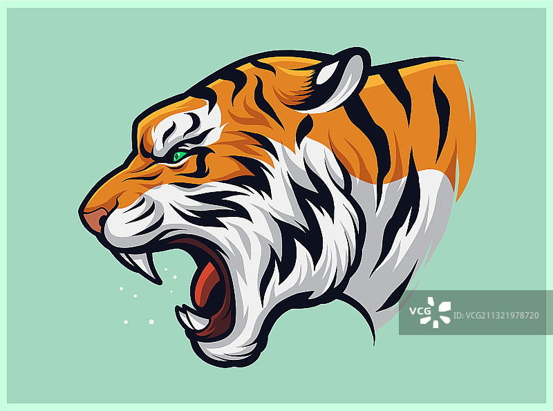 愤怒咆哮的老虎图片素材