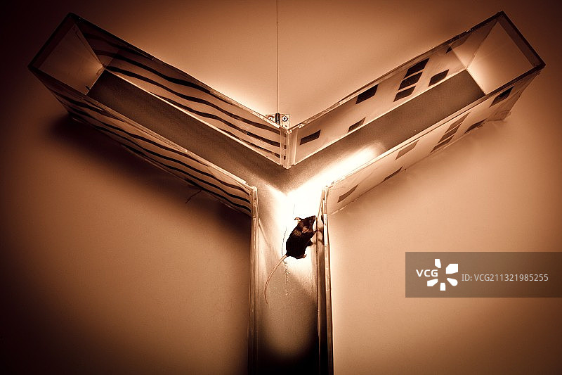 动物研究中心图片素材