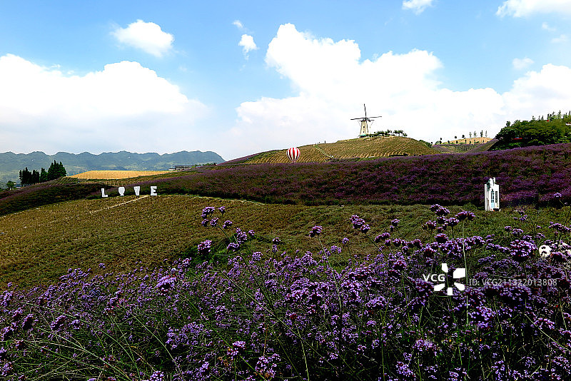 IMG_9647贵州遵义桐梓县的薰衣苑2016.7S图片素材