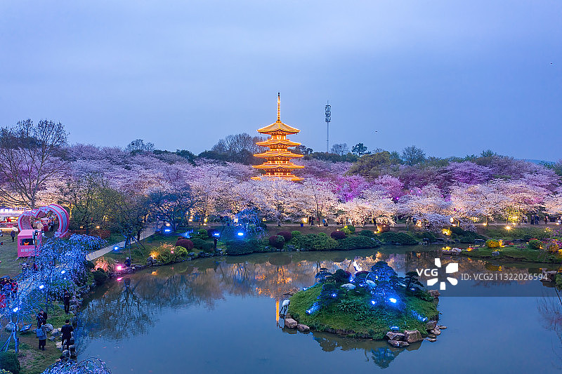 武汉东湖樱花园夜景图片素材