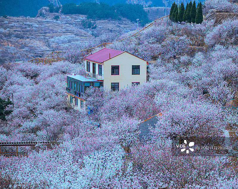 春天的气息图片素材