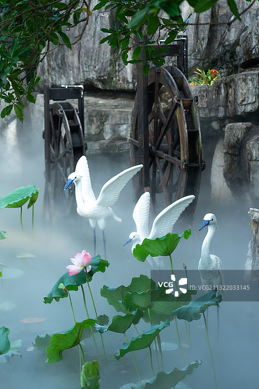 荷花池里的仙鹤雕塑图片素材