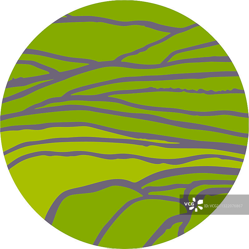 梯田上的稻米或茶园图片素材