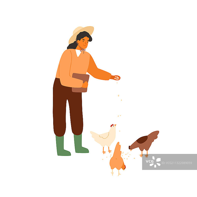 女农民拿着一桶种子进行喂食图片素材