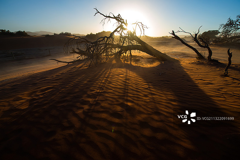 纳米布沙漠(Namibu Desert)图片素材