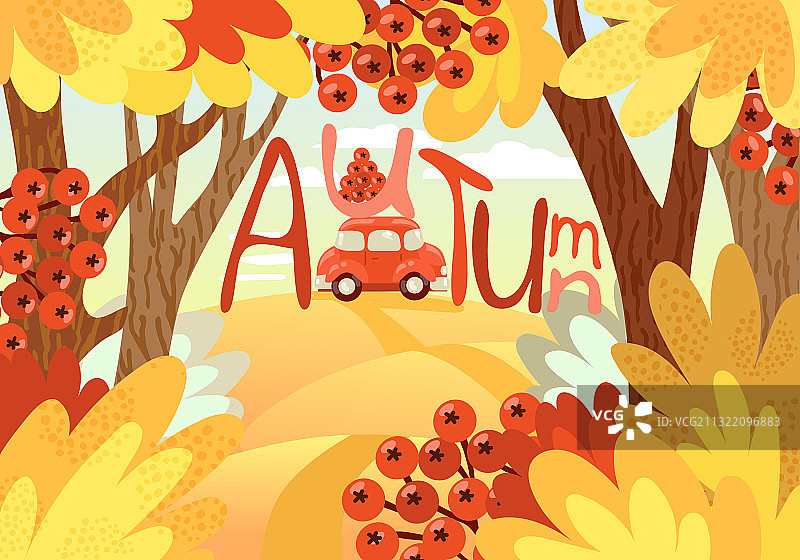 秋季景观：树木与花楸浆果图片素材