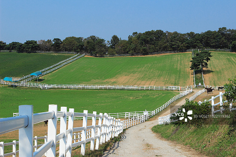 马场图片素材