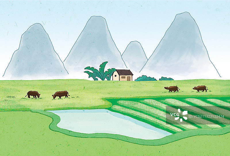 田地和耕牛图片素材