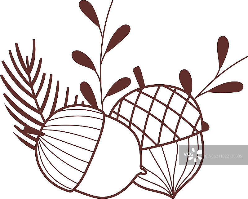 感恩节快乐橡果和松果图片素材