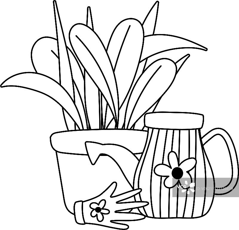 园艺浇水壶、盆栽和手套图片素材