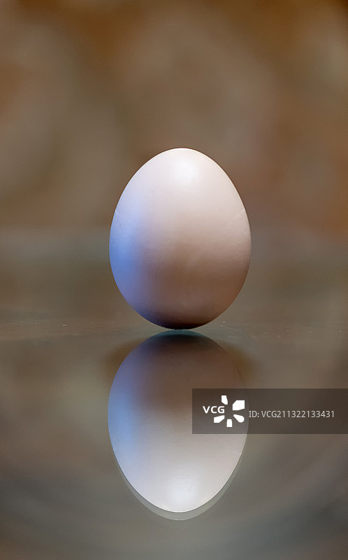 2021年3月20日春分立蛋图片素材