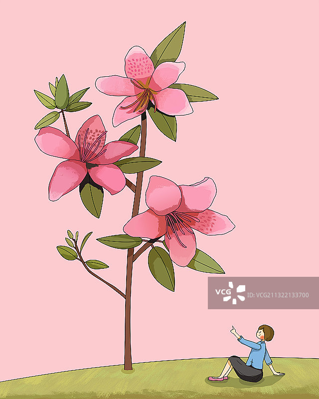 中国花卉之杜鹃花图片素材