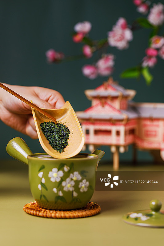 正在往茶壶里倾倒日本宇治玉露绿茶图片素材