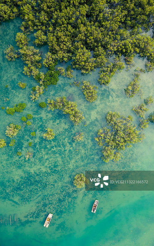 航拍厦门翔安下潭尾滨海湿地公园春天的美丽风景图片素材