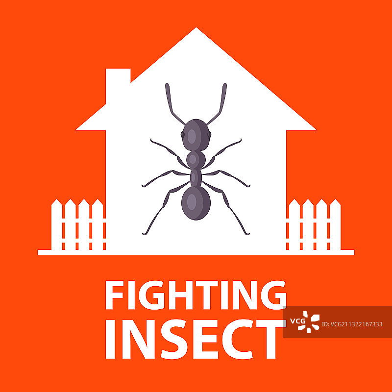 白蚁侵蚀私人房屋图片素材