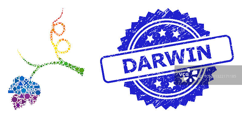 达尔文印章和明亮几何图案图片素材