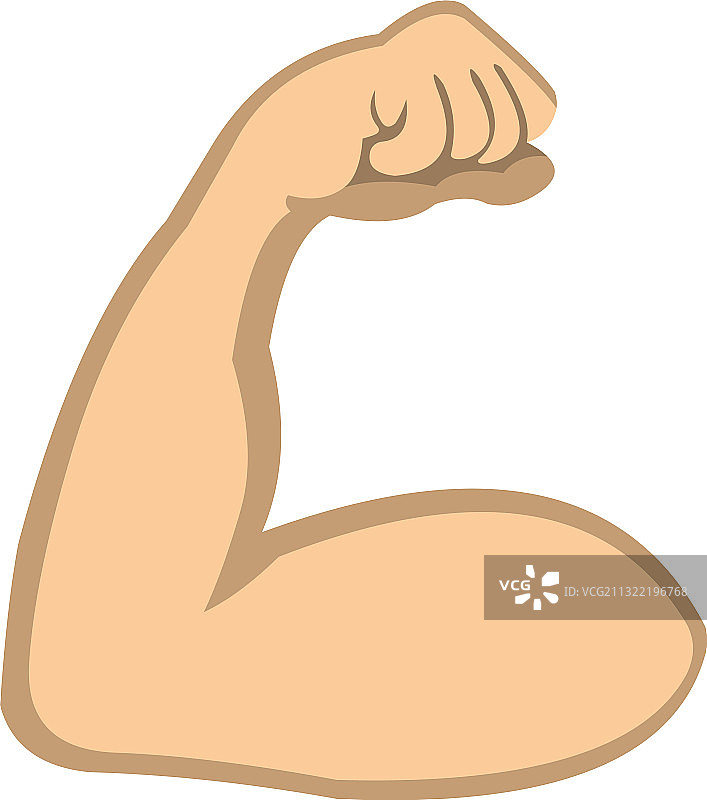 肱二头肌图片素材