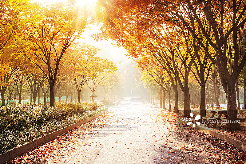 仁川大公园图片素材