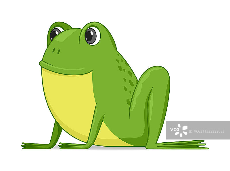 坐在白色背景上的青蛙图片素材
