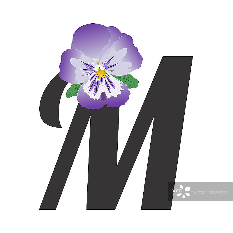 字母M与紫色三色堇花朵图片素材